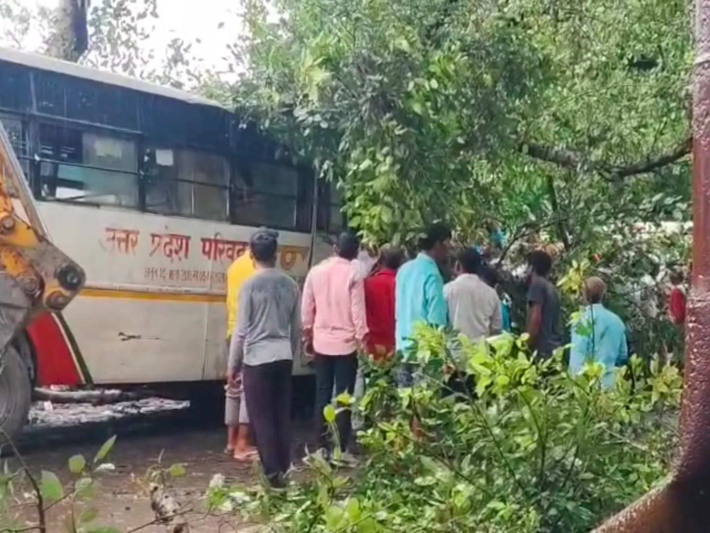 Barabanki: UP रोडवेज की बस पर गिरा पेड़,