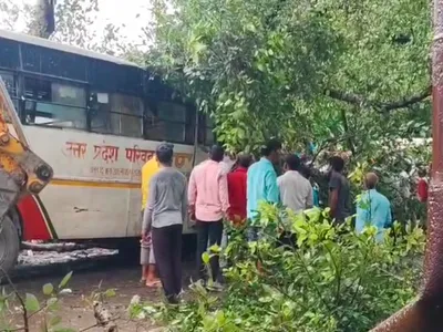 Barabanki: UP रोडवेज की बस पर गिरा पेड़,