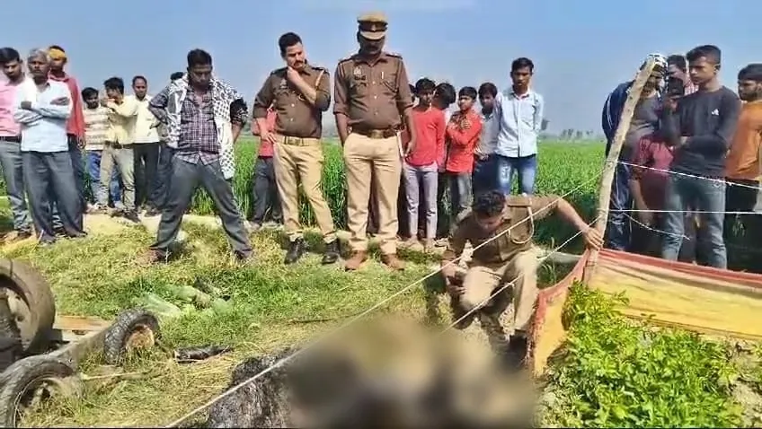 Assam Cachar Husband Murder Case