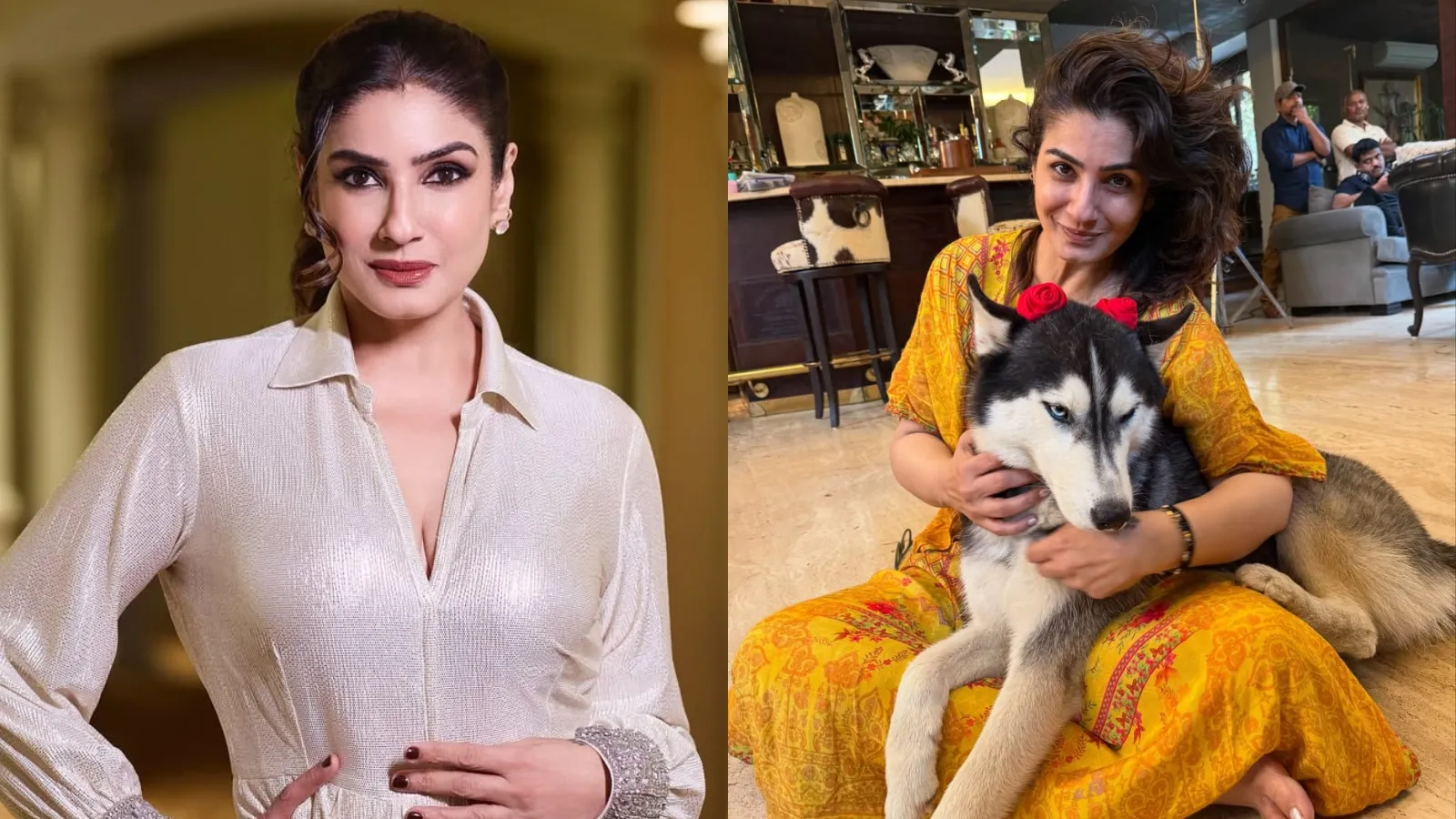 Celebs on Stray Dogs