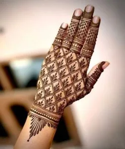 Jaali Mehndi Design