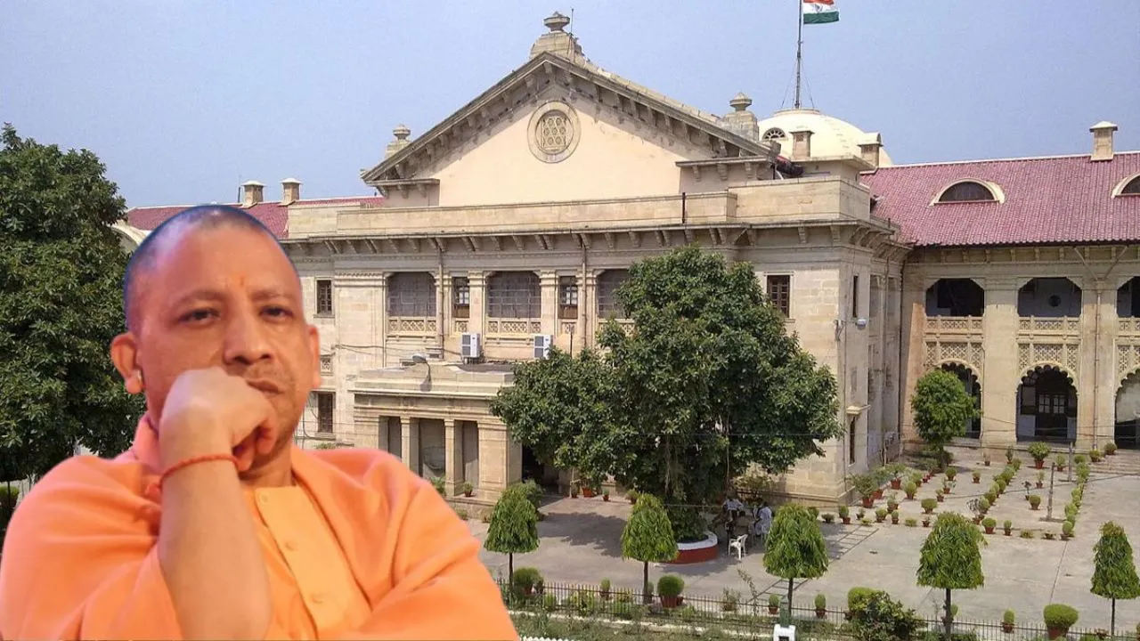 UP Madrasa News