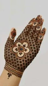 Net Pattern Mehndi Design