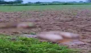 UP Murder Case
