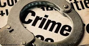 Udaipur Wife Acid Attack