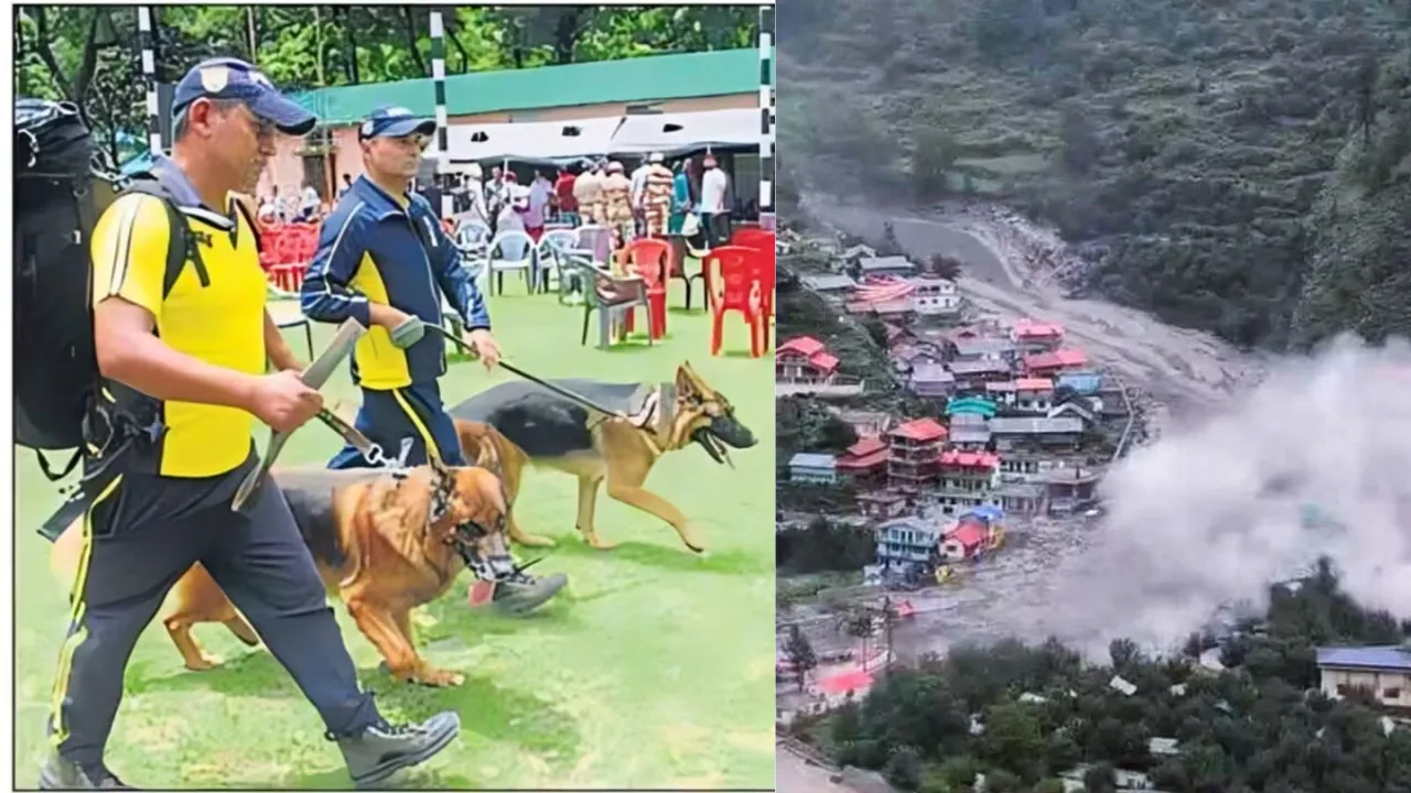 Uttarkashi Disaster
