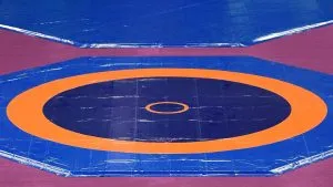 भारत के युवा पहलवानों का Under-17 World Wrestling Championship में शानदार प्रदर्शन