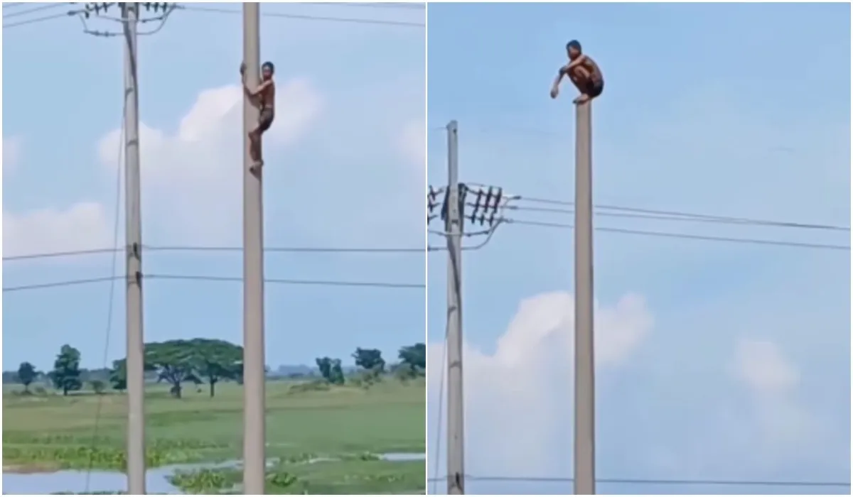 viral video