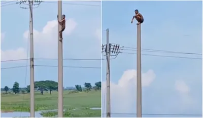 viral video