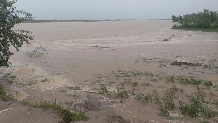 Punjab Flood Latest News