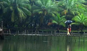 best honeymoon destinations in india