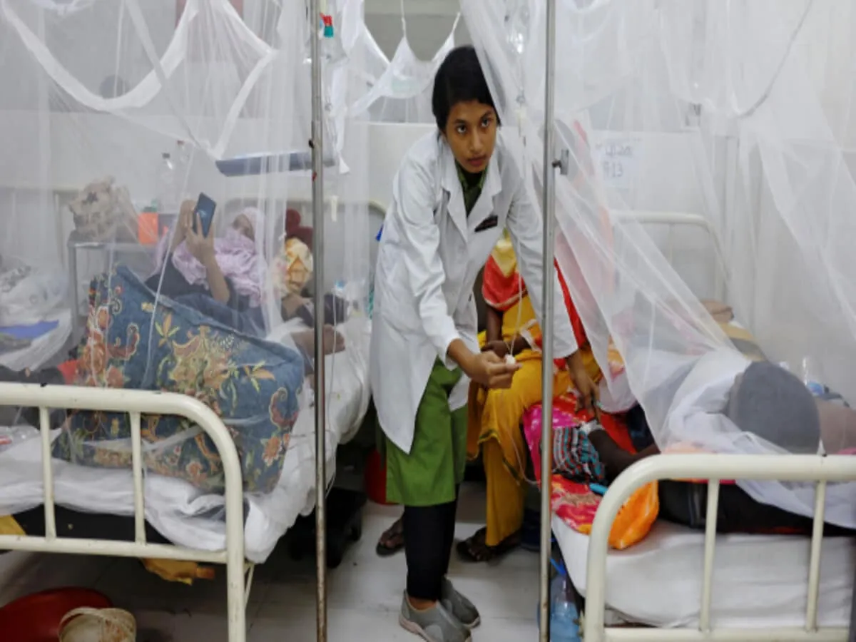 Dengue in Bihar