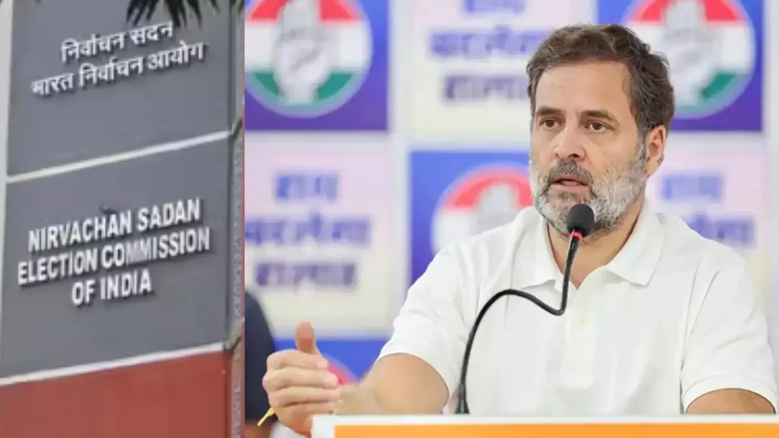 Election Commission Reply on Rahul Gandhi