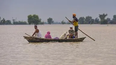 Flood In Punjab Live