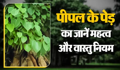 Ghar Me Peepal Ka Ped Ugna
