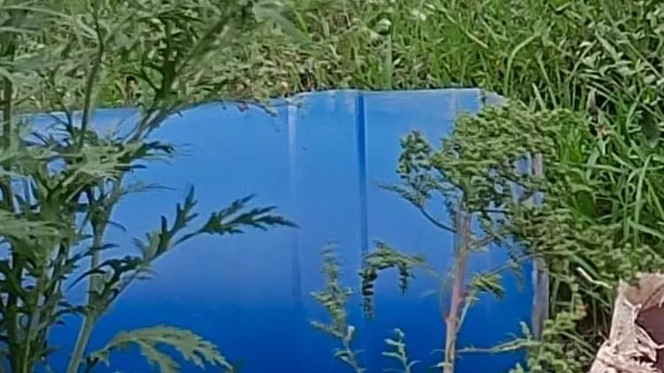 Maihar Woman Body Found In a Box