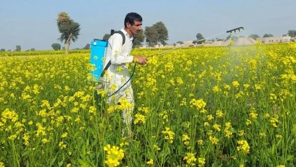 PM kisan Yojana