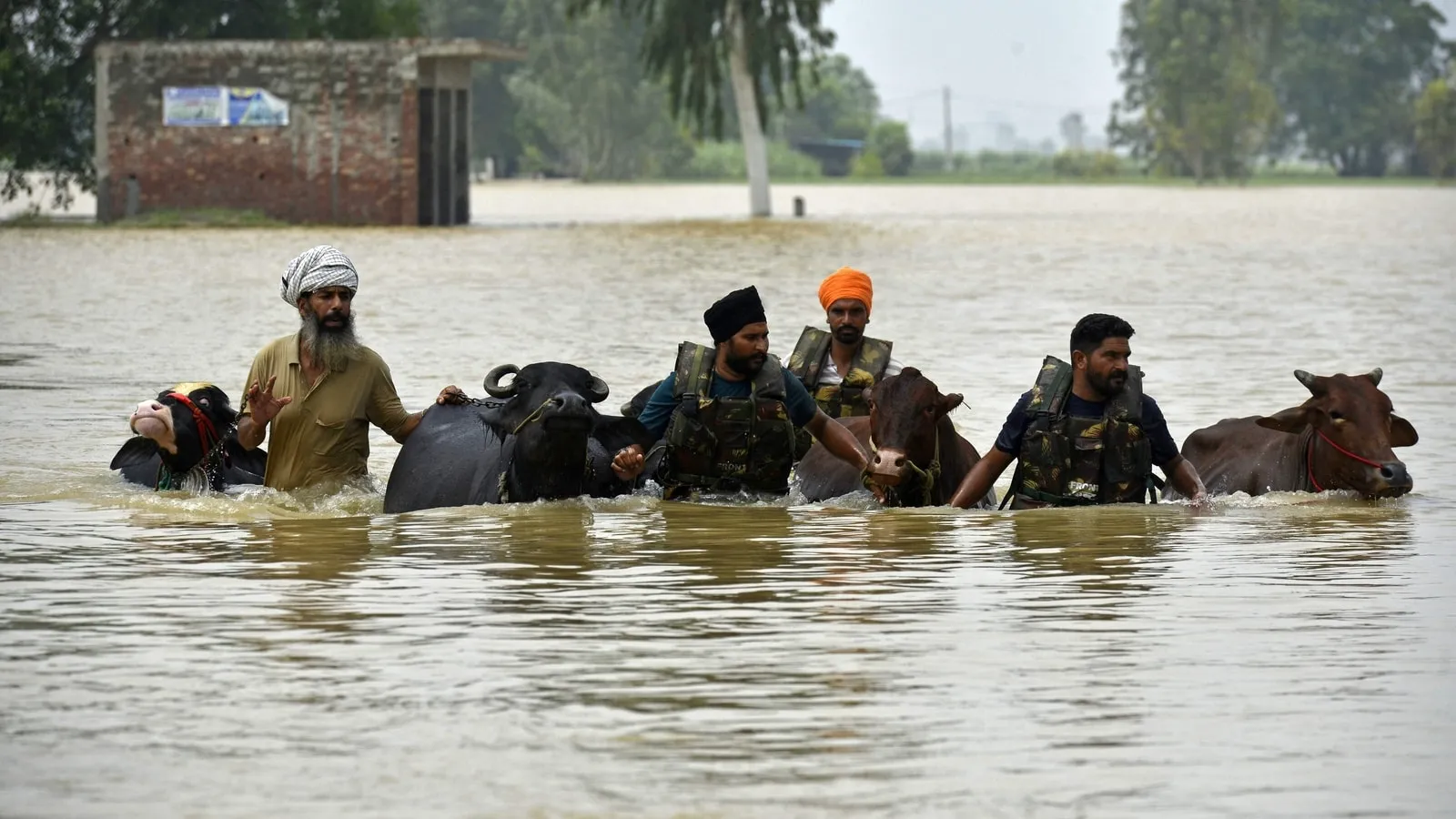 Punjab Disaster Affected State
