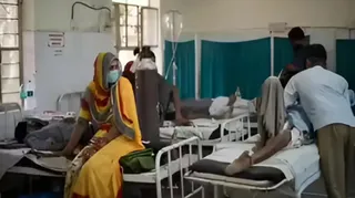Kuttu Ka Atta News