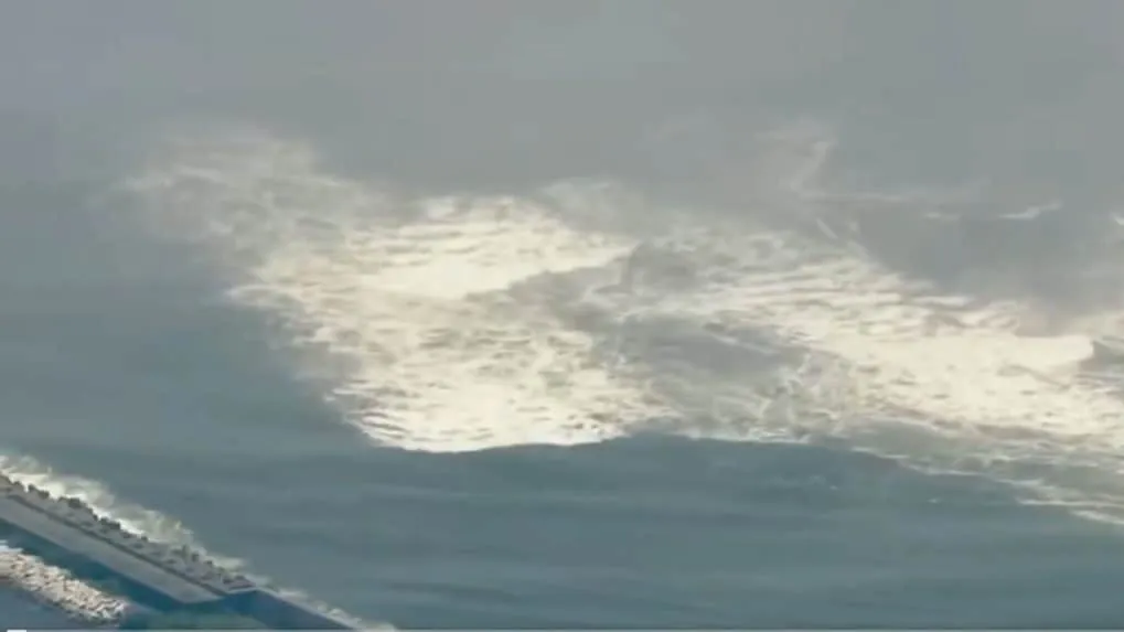 Tsunami Viral Video