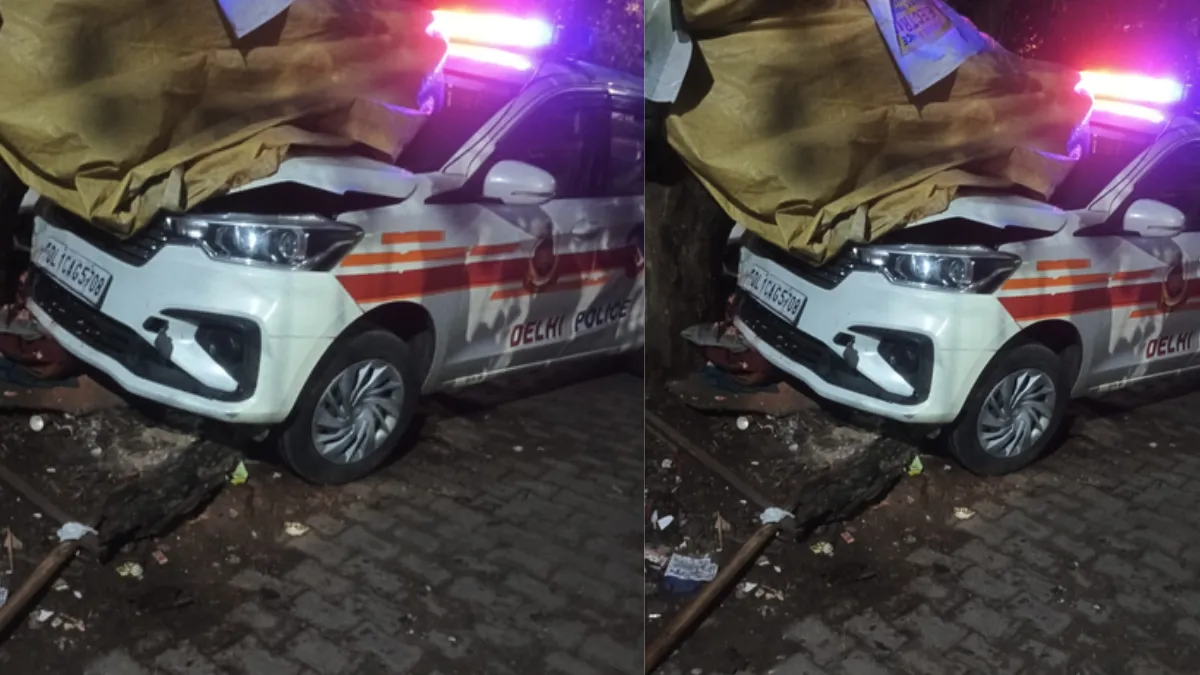 Delhi Road Accident