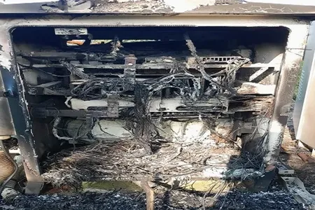 Jharkhand Chaibasa News