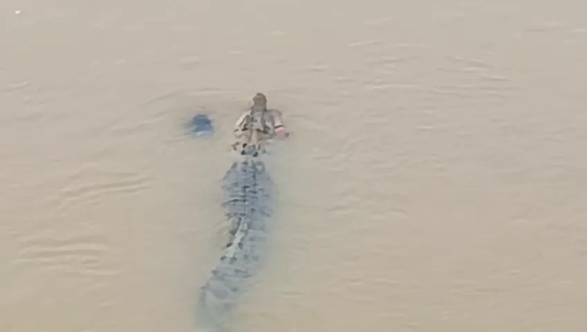 Woman Attacked by Crocodile