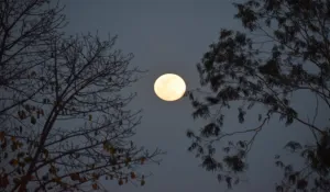 Kojagari Laxmi Puja 2025