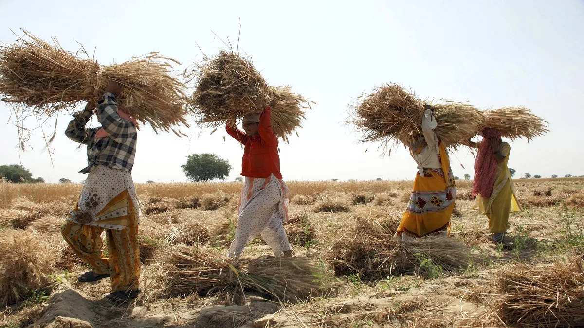 Rabi Crops MSP Hike