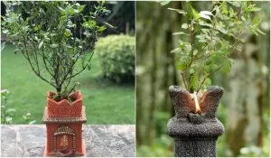 Tulsi Vivah 2025 Upay