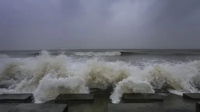 Ditwah Cyclone Tamil Nadu