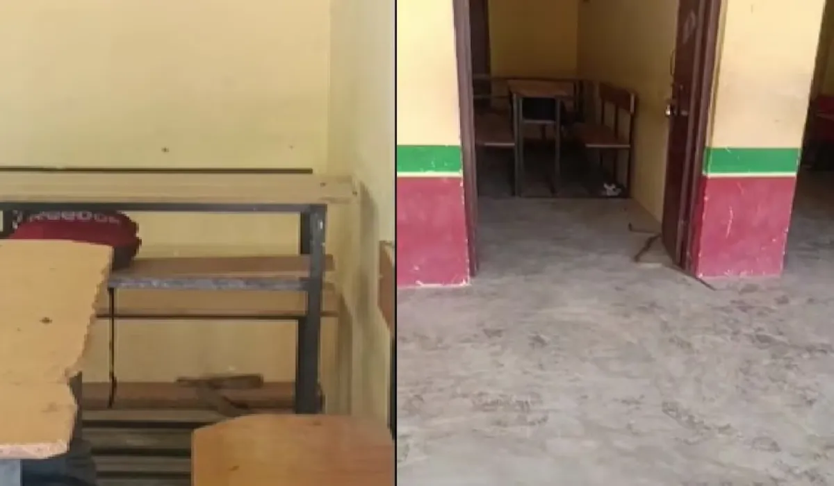 Bijnor School Snake News