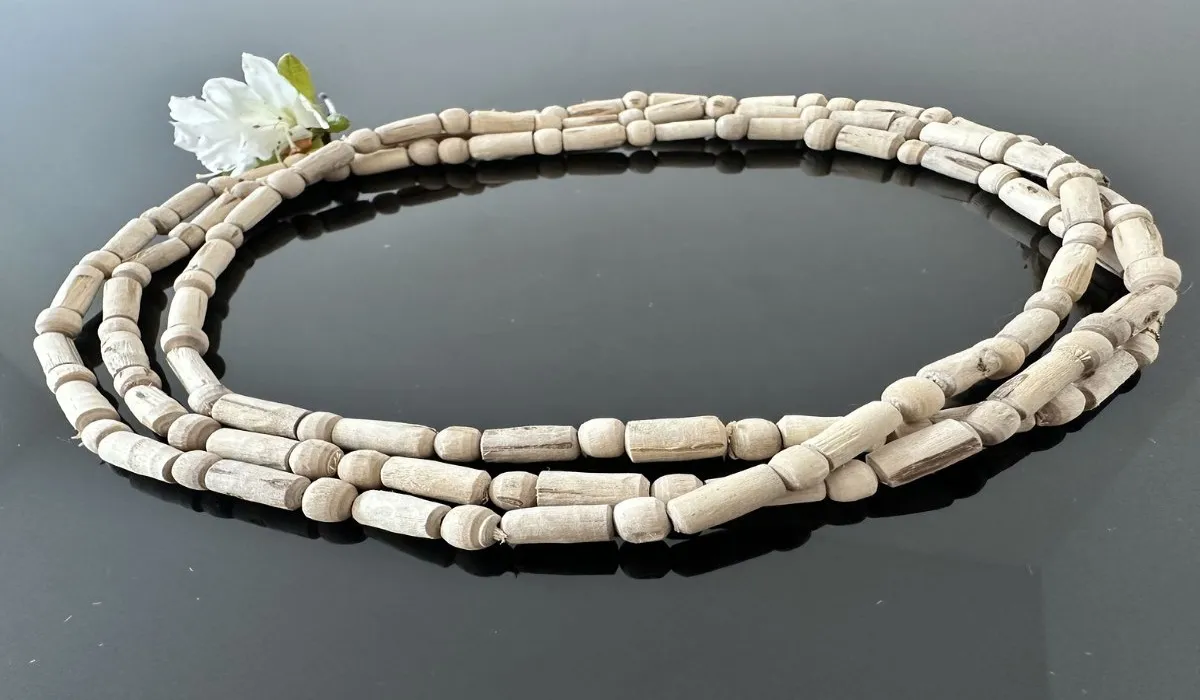 Tulsi Mala Pehne ke Niyam