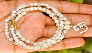 Tulsi Mala Pehne ke Niyam