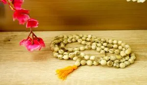 Tulsi Mala Pehne ke Niyam
