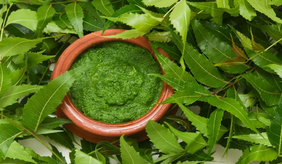Benefits of Eating Neem Leaves