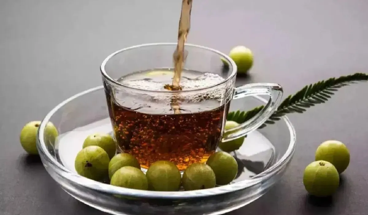 Winter Special Amla Tea