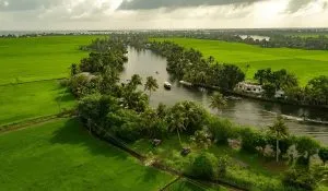 kerala trip package