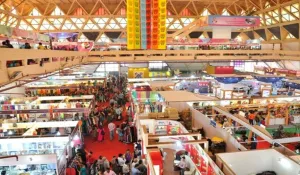 Delhi Trade Fair 2025 Guide