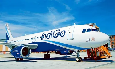 Indigo Airlines (Source- Social Media)