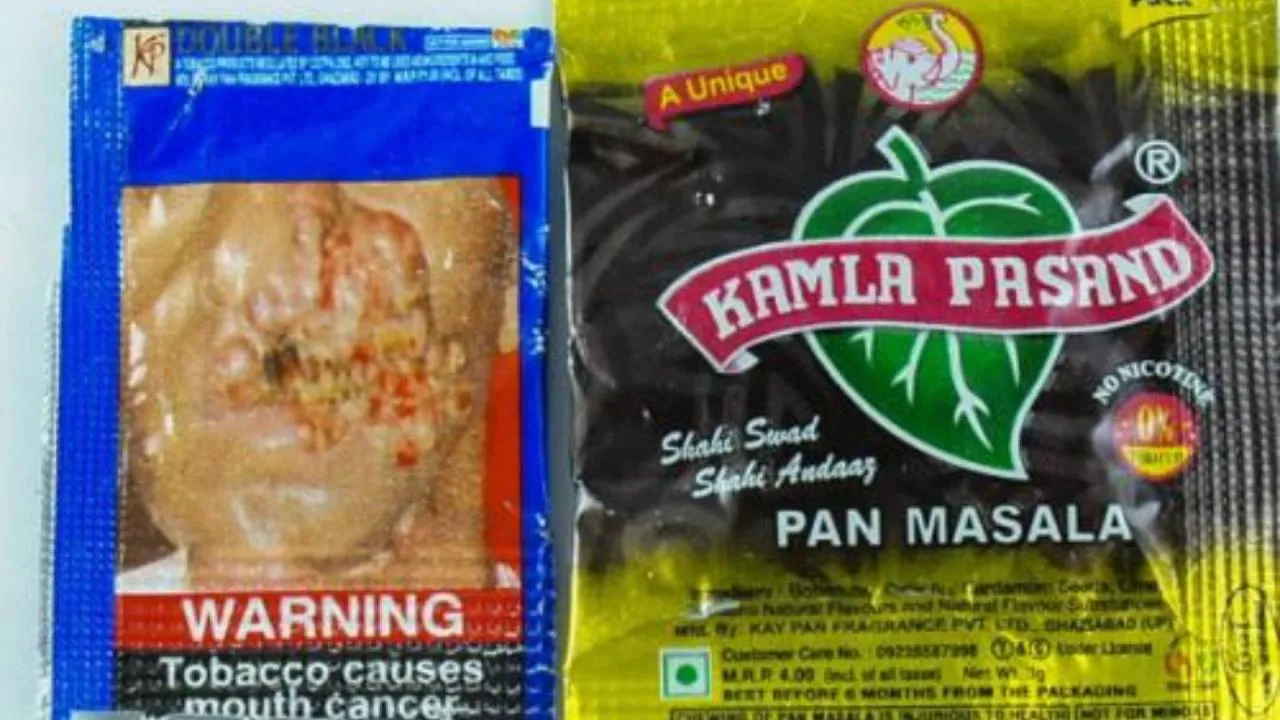 Kamala Pasand Owner Net Worth