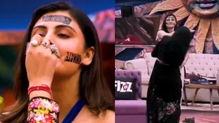 Malti chahar slapped tanya