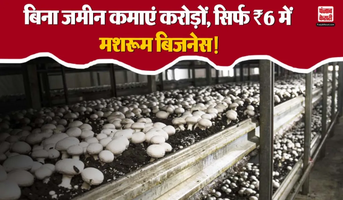 Mushroom Kit Yojana