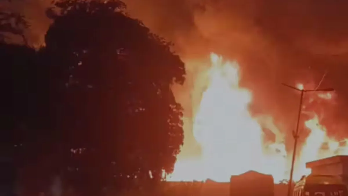 Delhi Rohini Fire News, (source: social media )