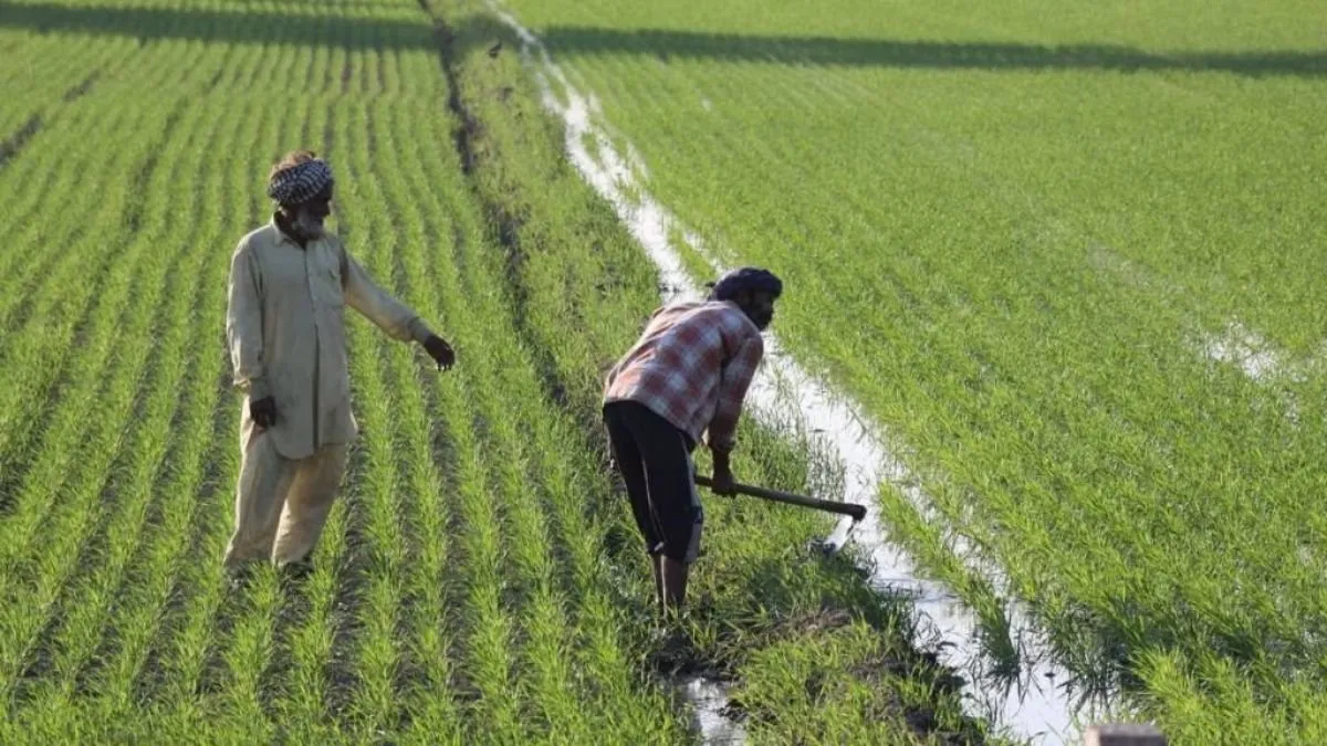 PM Kisan Samman Nidhi Yojana