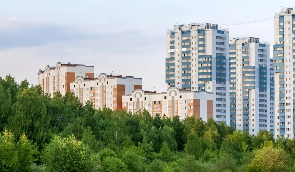 Real Estate Investment