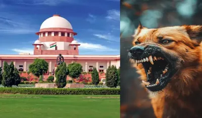 Supreme court