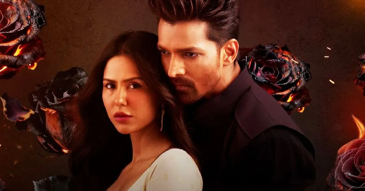 Ek Deewane Ki Deewaniyat BO Day 13- Source : Social Media