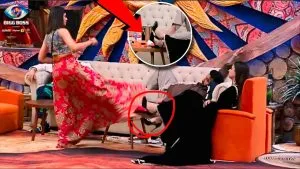 Bigg Boss 19 malti farrhana fight