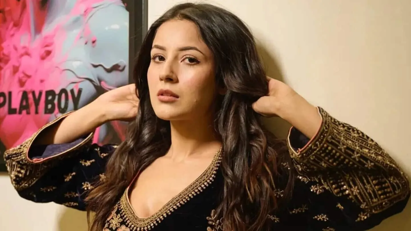 Shehnaaz Gill-Source : Social Media